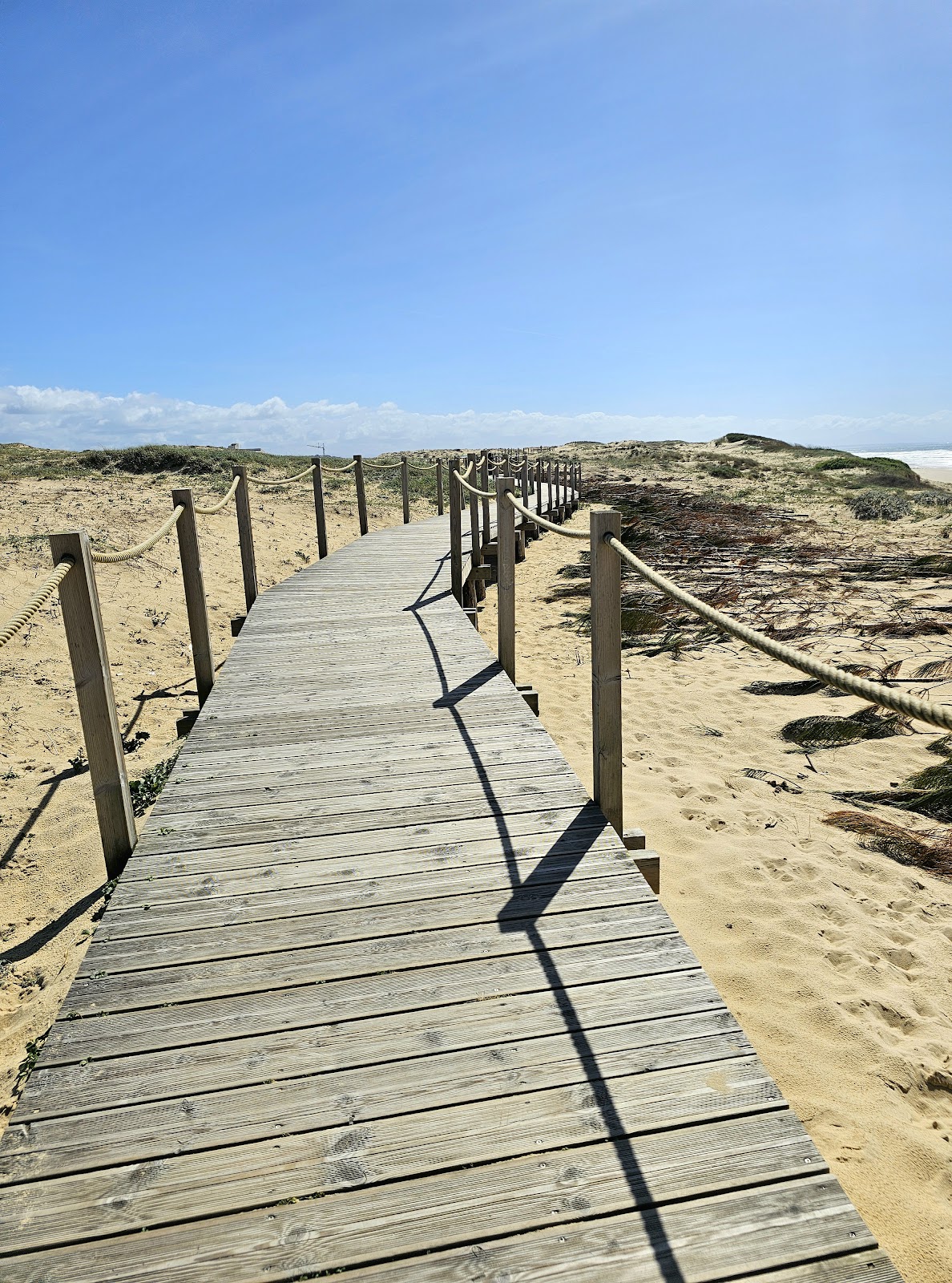 66f020e48d6bacc60df81381